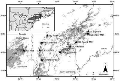 Acidic Deposition and Climate Warming as Drivers of Tree Growth in High-Elevation Spruce-Fir Forests of the Northeastern US